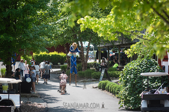 Arup - Company Picnic - Gate Hill Day Camp - Stony Point NY - 20