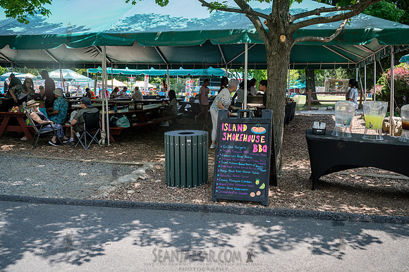 Arup - Company Picnic - Gate Hill Day Camp - Stony Point NY - 20