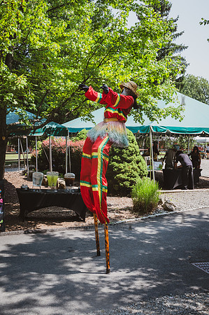 Arup - Company Picnic - Gate Hill Day Camp - Stony Point NY - 20