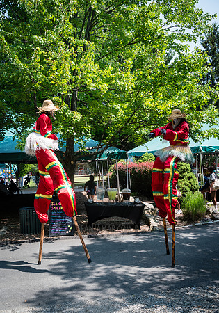 Arup - Company Picnic - Gate Hill Day Camp - Stony Point NY - 20