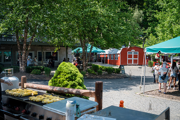 Arup - Company Picnic - Gate Hill Day Camp - Stony Point NY - 20