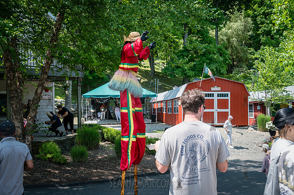 Arup - Company Picnic - Gate Hill Day Camp - Stony Point NY - 20