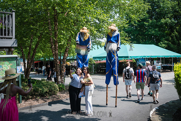 Arup - Company Picnic - Gate Hill Day Camp - Stony Point NY - 20