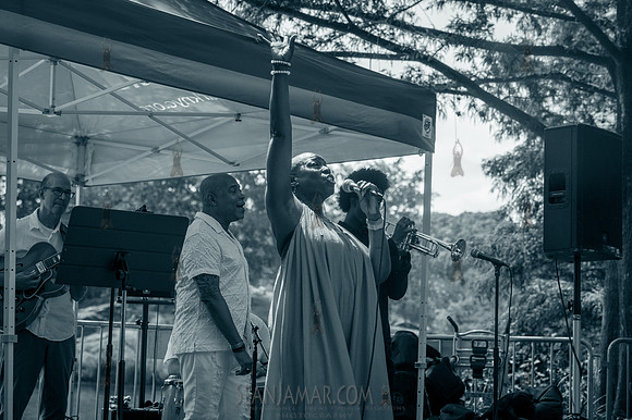 The Grace Young Experience - Harlem Meer Performance Festival -