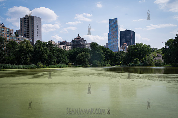 The Grace Young Experience - Harlem Meer Performance Festival -