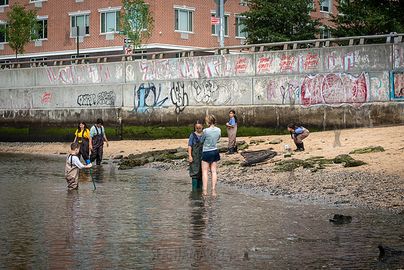 CPF Learn - Coastal Classroom - Hallets Cove - NYC - 2026