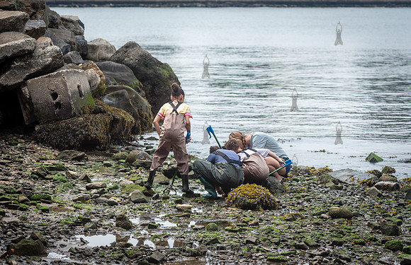 CPF Learn - Coastal Classroom - Hallets Cove - NYC - 2026