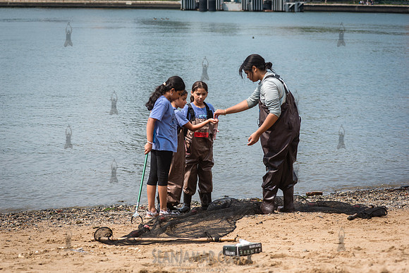 CPF Learn - Coastal Classroom - Hallets Cove - NYC - 2026