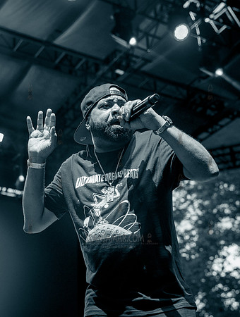 Lord Finesse - NYC SummerStage - UBB 40th Anniversary Celebratio