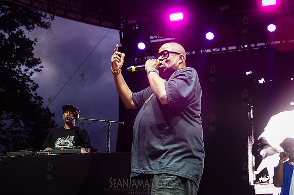 Diamond D - NYC SummerStage - UBB 40th Anniversary Celebration -