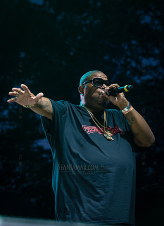 Diamond D - NYC SummerStage - UBB 40th Anniversary Celebration -