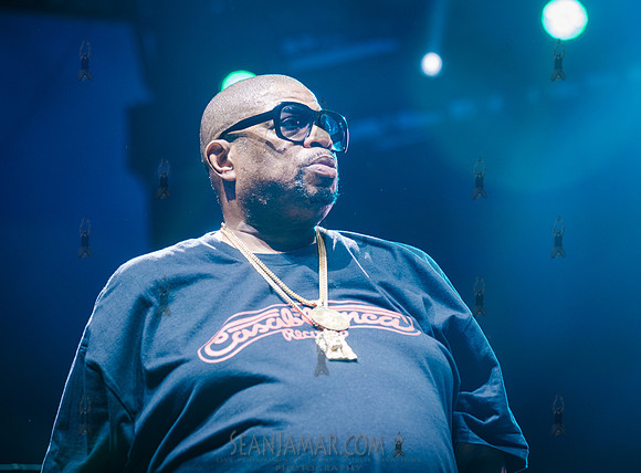 Diamond D - NYC SummerStage - UBB 40th Anniversary Celebration -