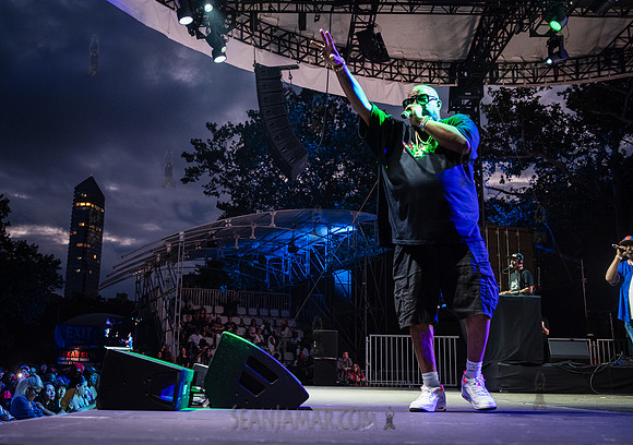 Diamond D - NYC SummerStage - UBB 40th Anniversary Celebration -