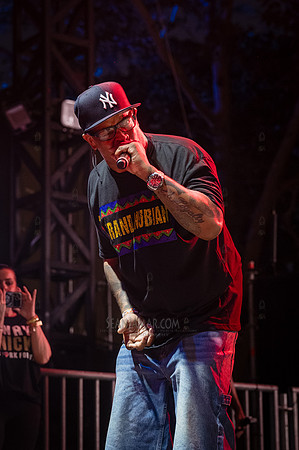 Sadat X & DJ Alamo - NYC SummerStage - UBB 40th Anniversary Cele