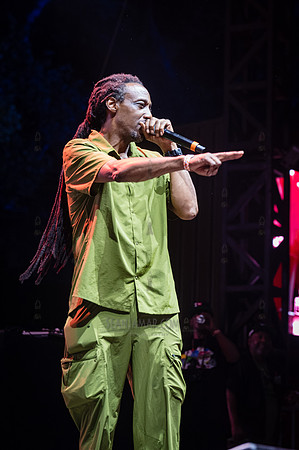 Sadat X & DJ Alamo - NYC SummerStage - UBB 40th Anniversary Cele