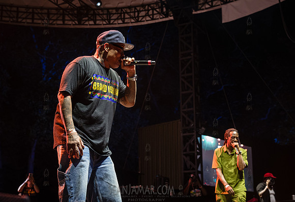 Sadat X & DJ Alamo - NYC SummerStage - UBB 40th Anniversary Cele