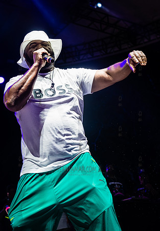 Nice & Smooth - NYC SummerStage - UBB 40th Anniversary Celebrati