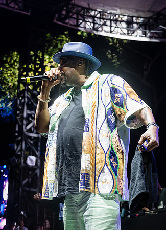 Nice & Smooth - NYC SummerStage - UBB 40th Anniversary Celebrati
