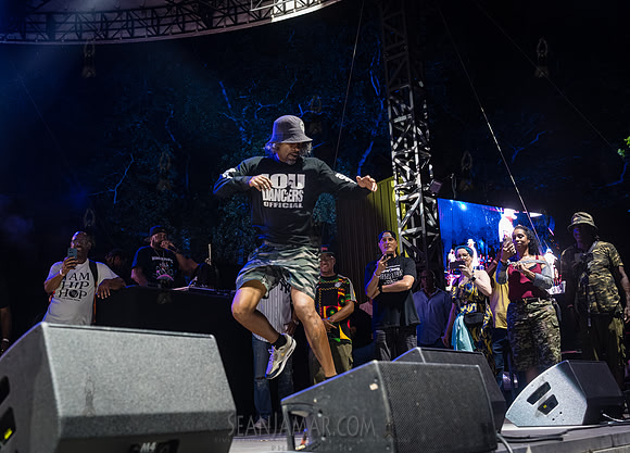 Nice & Smooth - NYC SummerStage - UBB 40th Anniversary Celebrati
