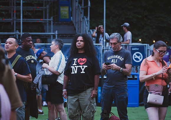 NYC SummerStage - UBB 40th Anniversary Celebration - Rumsey Play