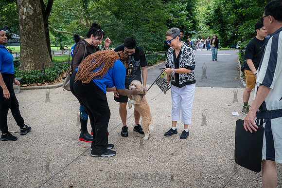 NYC SummerStage - WayV - Rumsey Playfield - NYC - 2026