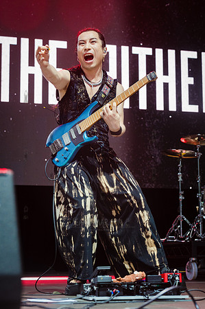 The Either - NYC SummerStage - WayV - Rumsey Playfield - NYC - 2
