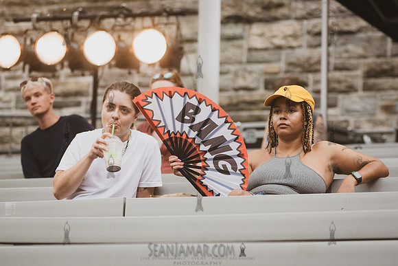 NYC SummerStage - Blacktronica Festival - Marcus Garvey Park - N