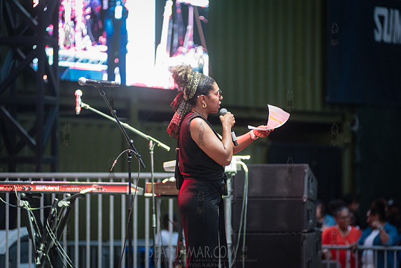 CPF SummerStage - VP Recprds 45th Anniversary - Rumsey Playfield