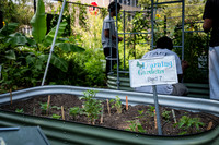 CPF Learn - Learning Gardens - Abib Newborn - NYC - 2026