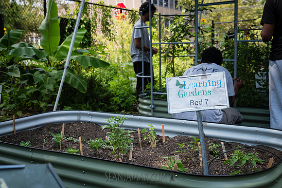 CPF Learn - Learning Gardens - Abib Newborn - NYC - 2026