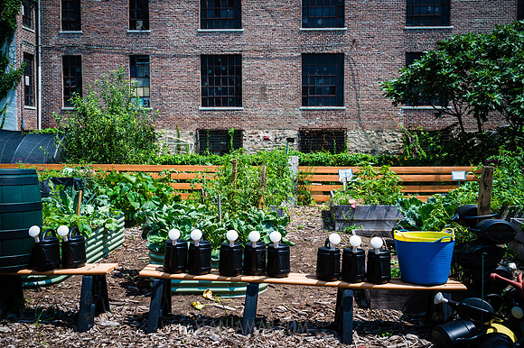 CPF Learn - Learning Gardens - Abib Newborn - NYC - 2026