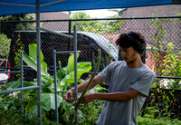 CPF Learn - Learning Gardens - Abib Newborn - NYC - 2026