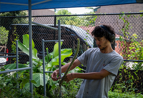 CPF Learn - Learning Gardens - Abib Newborn - NYC - 2026