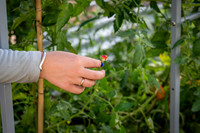 CPF Learn - Learning Gardens - Abib Newborn - NYC - 2026