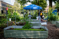 CPF Learn - Learning Gardens - Abib Newborn - NYC - 2026