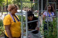 CPF Learn - Learning Gardens - Abib Newborn - NYC - 2026