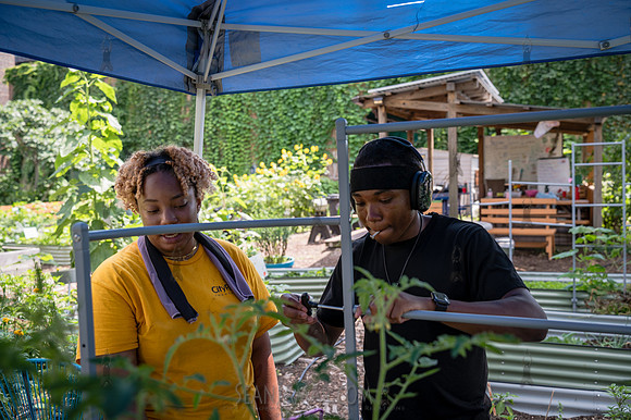 CPF Learn - Learning Gardens - Abib Newborn - NYC - 2026
