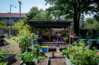 CPF Learn - Learning Gardens - Abib Newborn - NYC - 2026