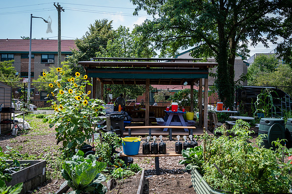 CPF Learn - Learning Gardens - Abib Newborn - NYC - 2026