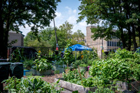 CPF Learn - Learning Gardens - Abib Newborn - NYC - 2026