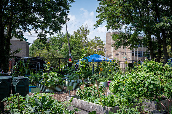 CPF Learn - Learning Gardens - Abib Newborn - NYC - 2026