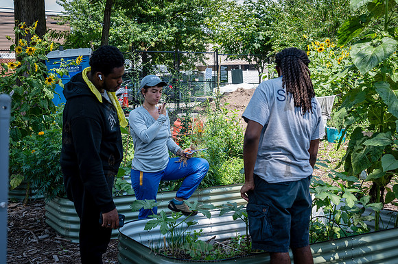 CPF Learn - Learning Gardens - Abib Newborn - NYC - 2026