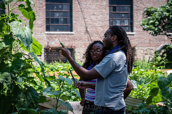 CPF Learn - Learning Gardens - Abib Newborn - NYC - 2026
