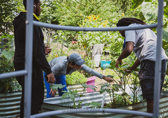 CPF Learn - Learning Gardens - Abib Newborn - NYC - 2026