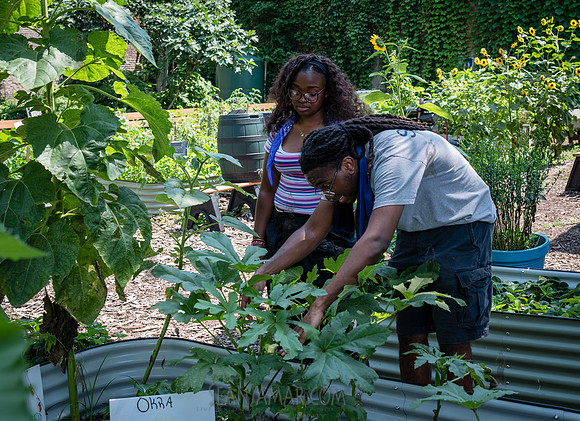 CPF Learn - Learning Gardens - Abib Newborn - NYC - 2026