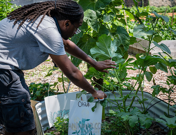 CPF Learn - Learning Gardens - Abib Newborn - NYC - 2026