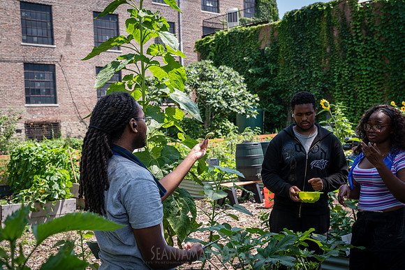 CPF Learn - Learning Gardens - Abib Newborn - NYC - 2026