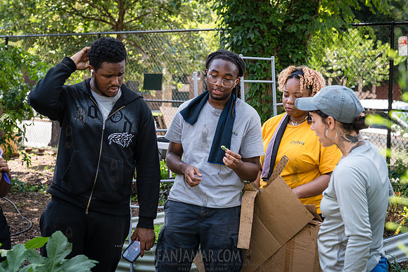 CPF Learn - Learning Gardens - Abib Newborn - NYC - 2026
