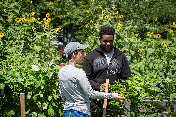 CPF Learn - Learning Gardens - Abib Newborn - NYC - 2026