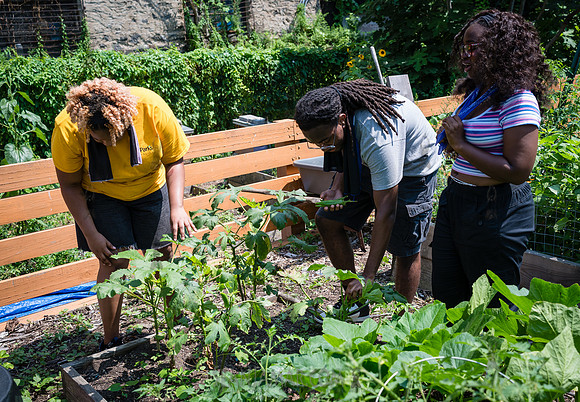 CPF Learn - Learning Gardens - Abib Newborn - NYC - 2026